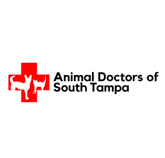 Animal Doctors of South Tampa